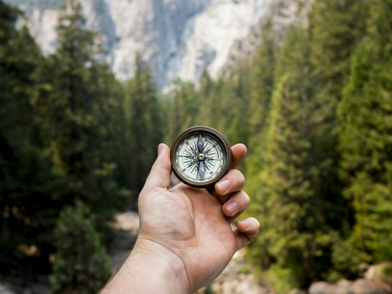 Bild: AdobeStock